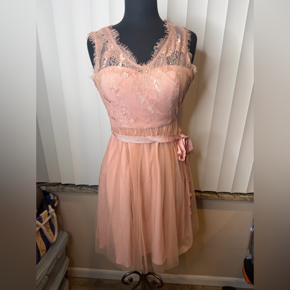 Anthropologie Hitherto Lina Blush Pink Whimsical Romantic Lace Dress Size 4